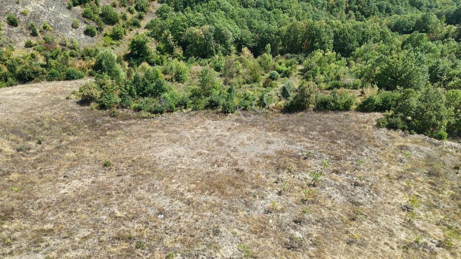 Kocaeli İzmit Zeytinburnu Mevkiinde 7 Dönüm Arazi 56.00000