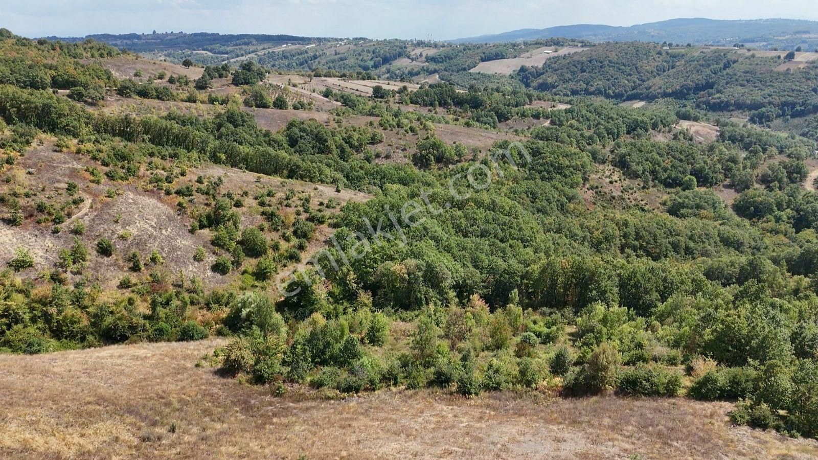 Kocaeli İzmit Zeytinburnu Mevkiinde 7 Dönüm Arazi 56.00000 - Görsel 3