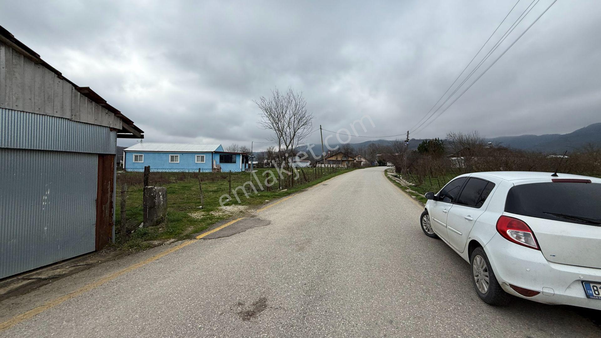 Cumayeri Ören Köyü | Asfalta Cephe Villalık Satılık Parseller - Görsel 8