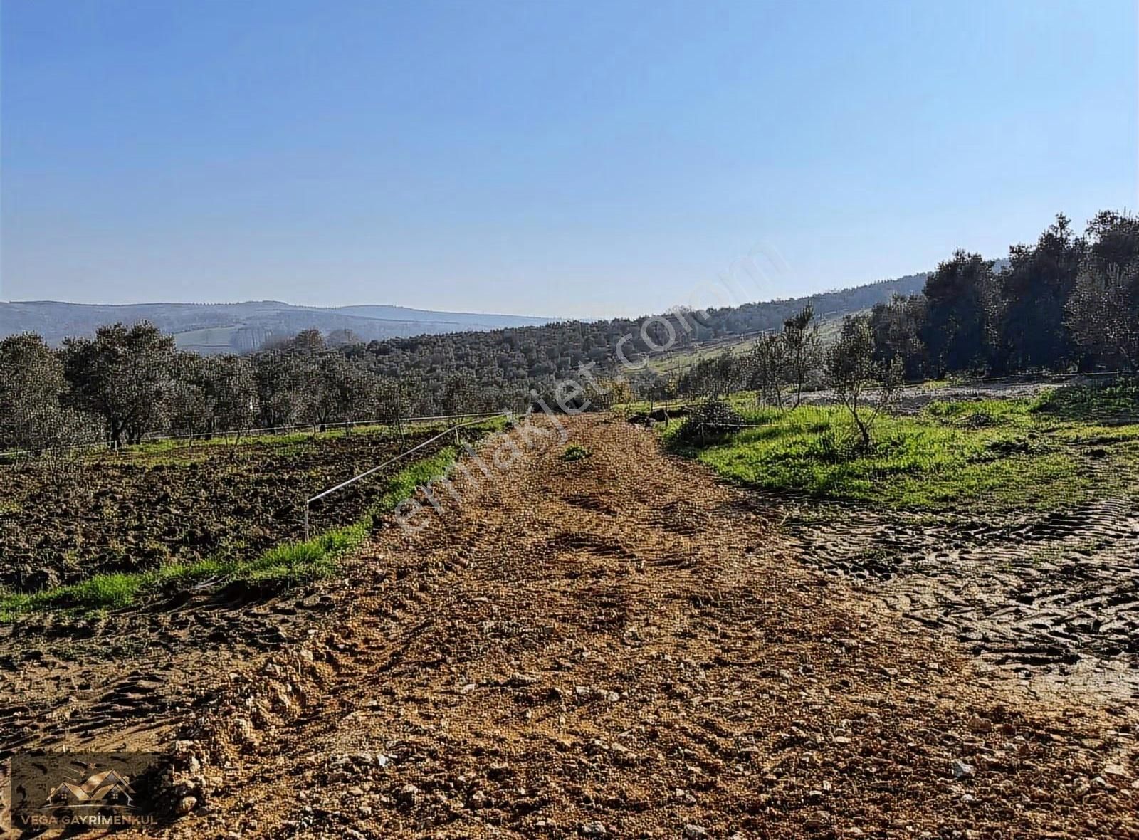 Esence'de Satılık Parseller 379 M2 - Görsel 17