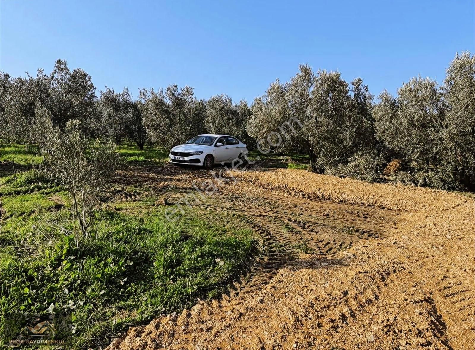 Esence'de Satılık Parseller 379 M2 - Görsel 7