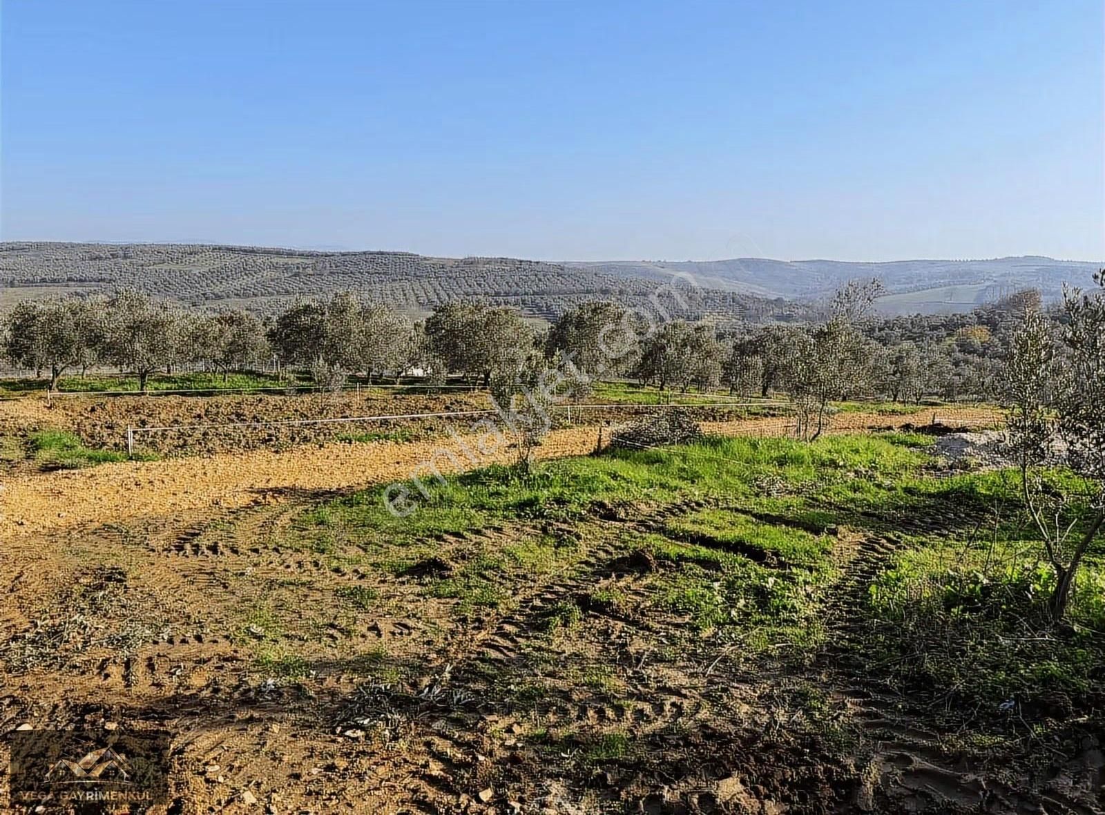 Esence'de Satılık Parseller 379 M2 - Görsel 6