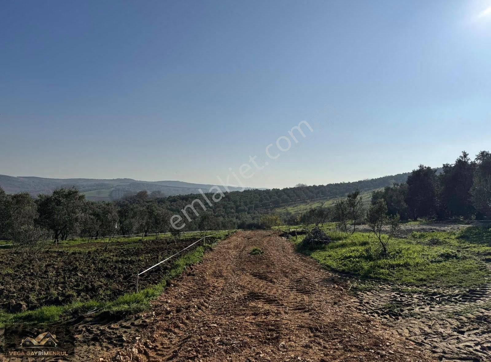 Esence'de Satılık Parseller 379 M2 - Görsel 19