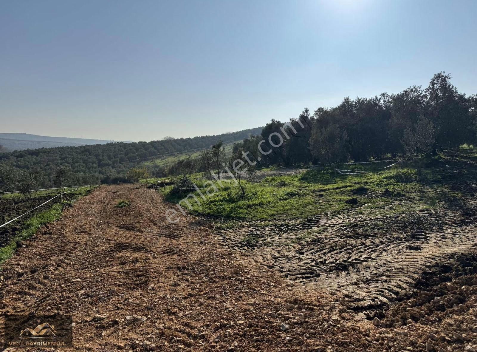 Esence'de Satılık Parseller 379 M2 - Görsel 16