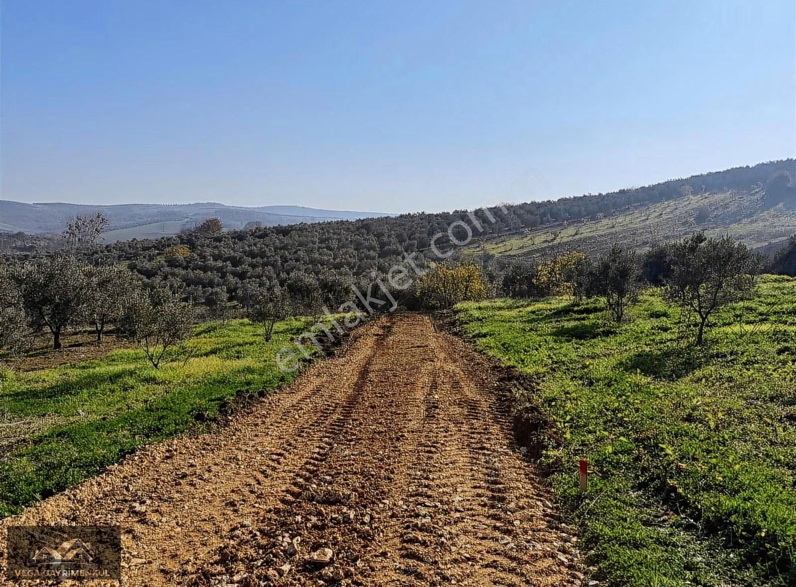 Esence'de Satılık Parseller 379 M2 - Görsel 15