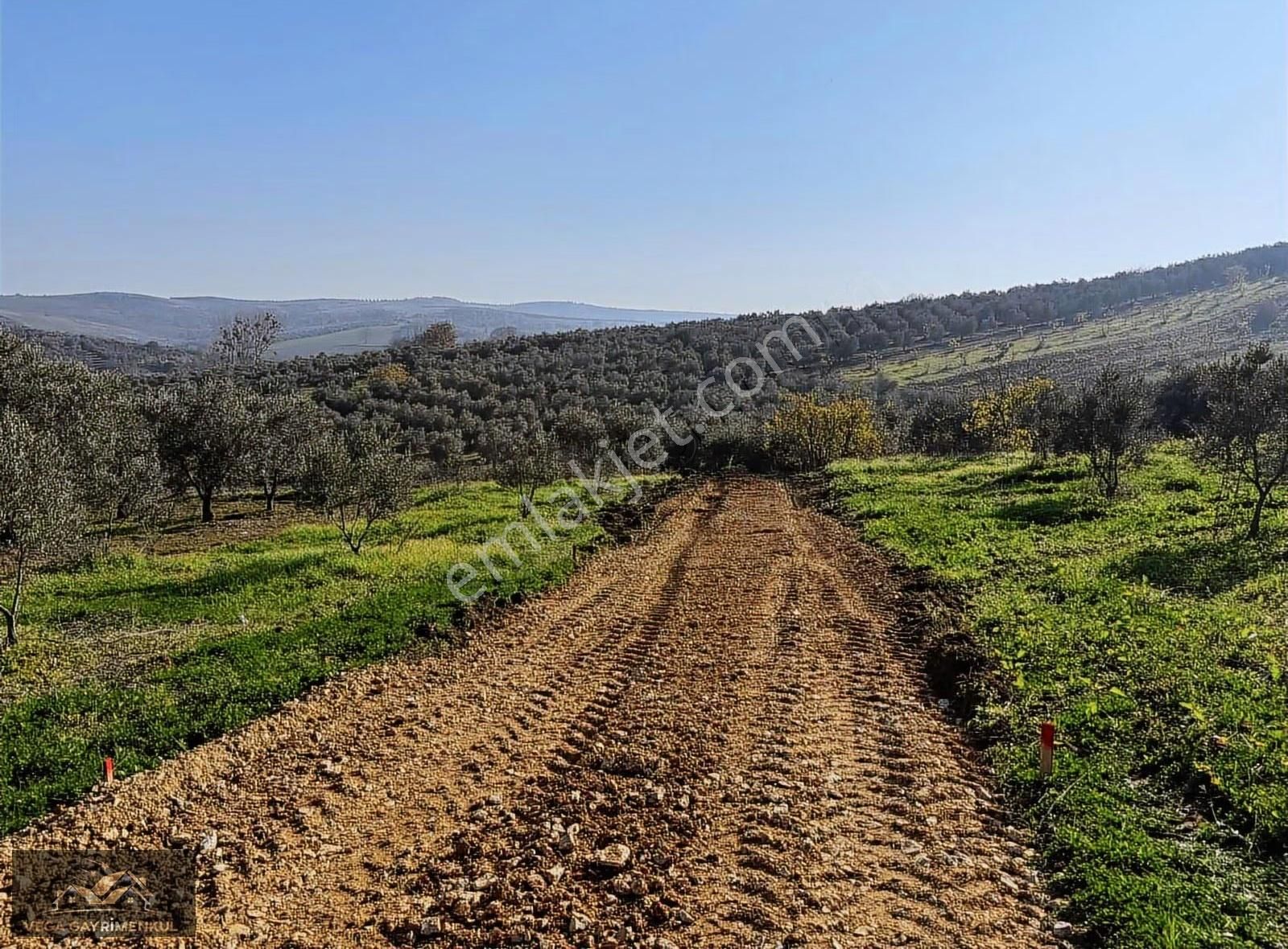 Esence'de Satılık Parseller 379 M2 - Görsel 4