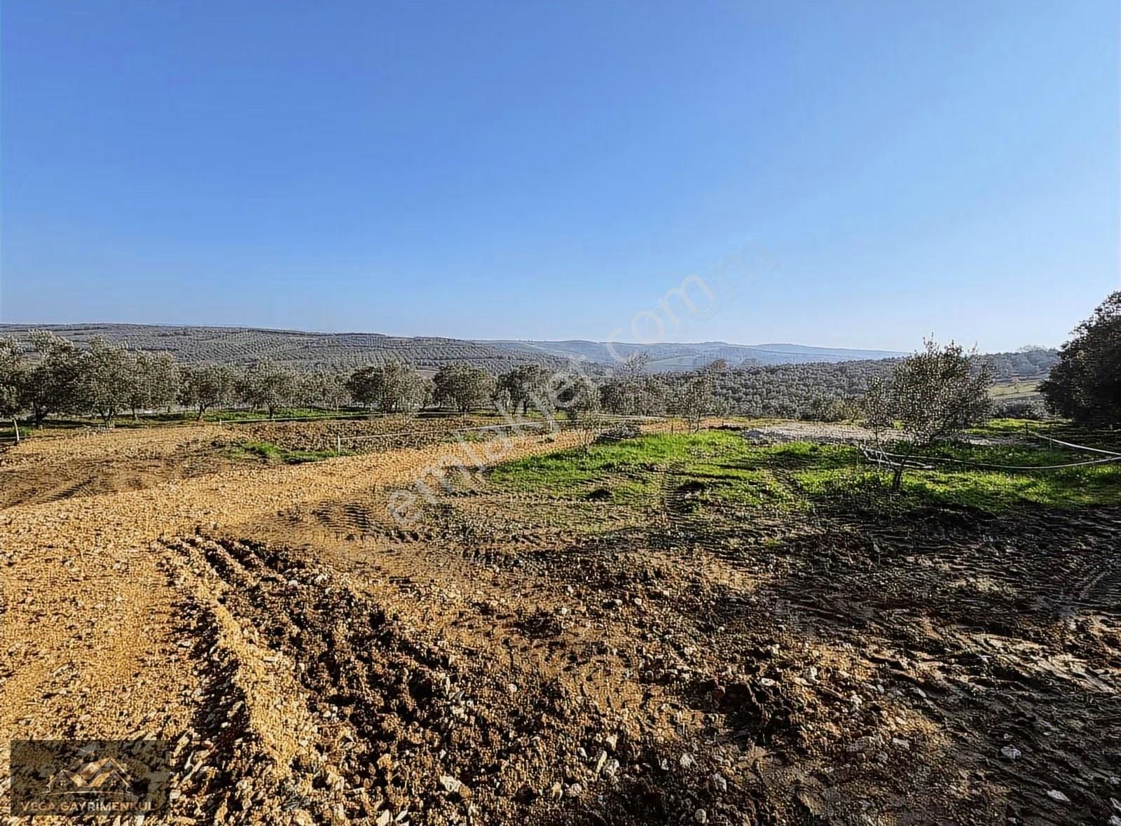 Esence'de Satılık Parseller 379 M2 - Görsel 5