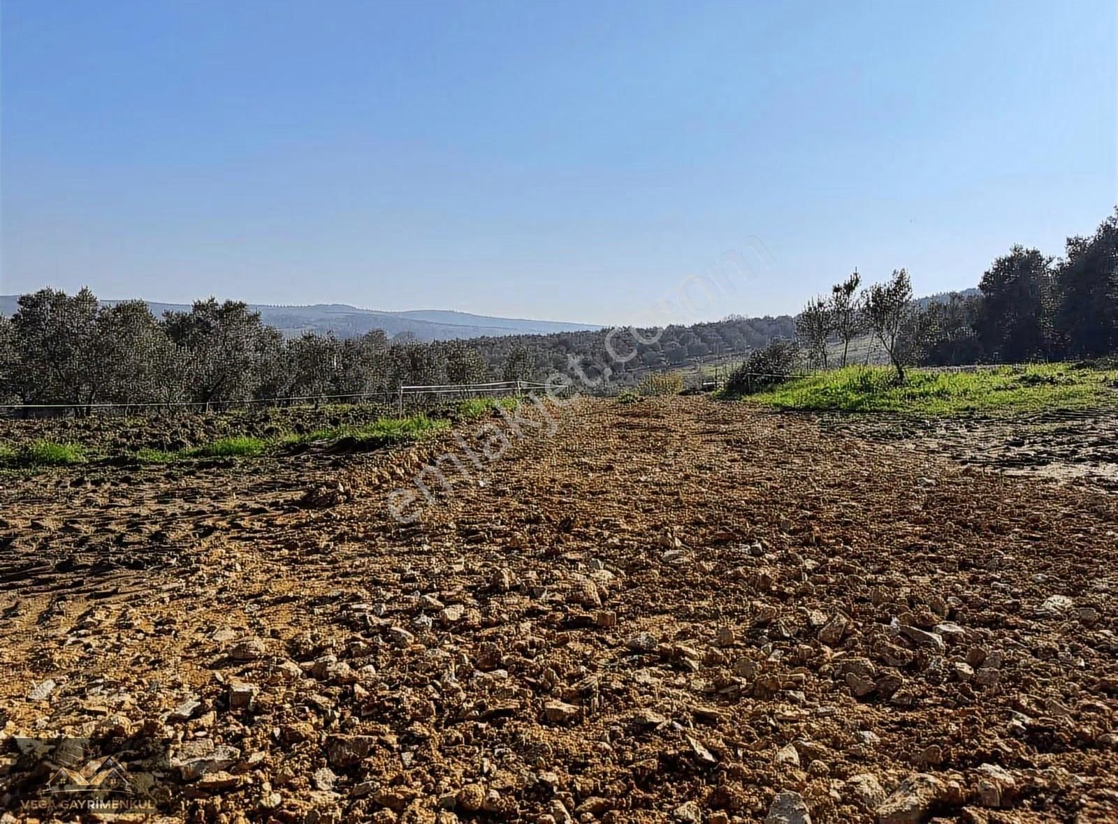 Esence'de Satılık Parseller 379 M2