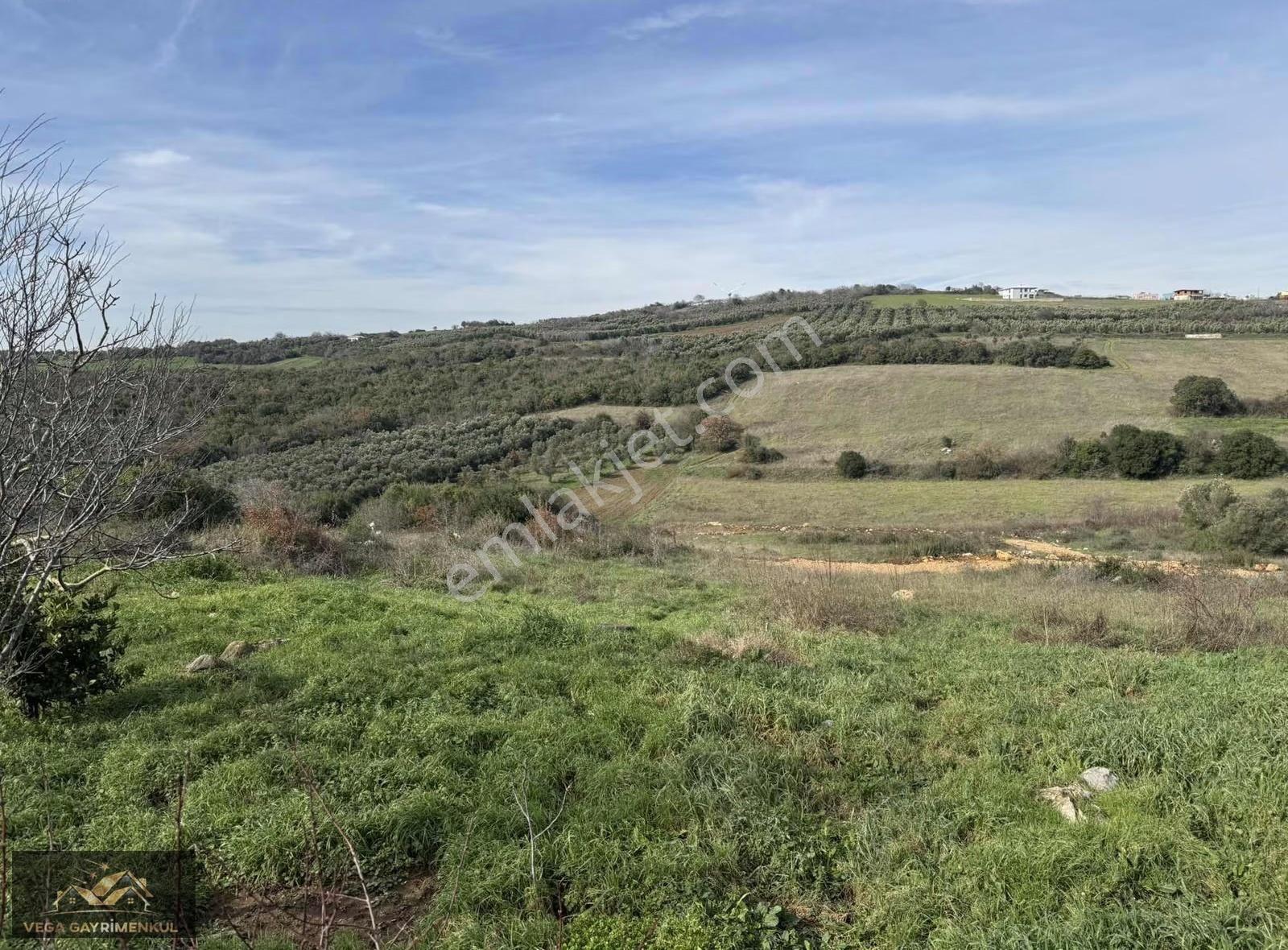 Söğütpınar'da Satılık Köyiçi İmarlı Arsa - Görsel 9