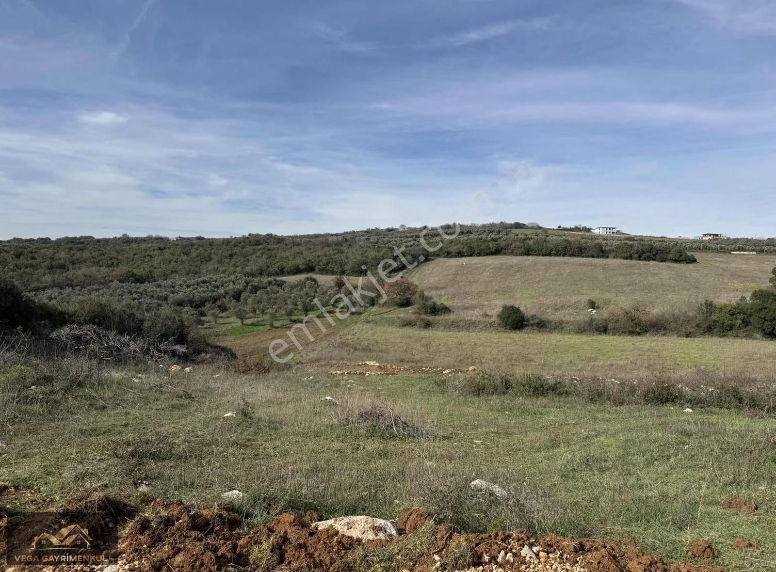 Söğütpınar'da Satılık Köyiçi İmarlı Arsa - Görsel 26