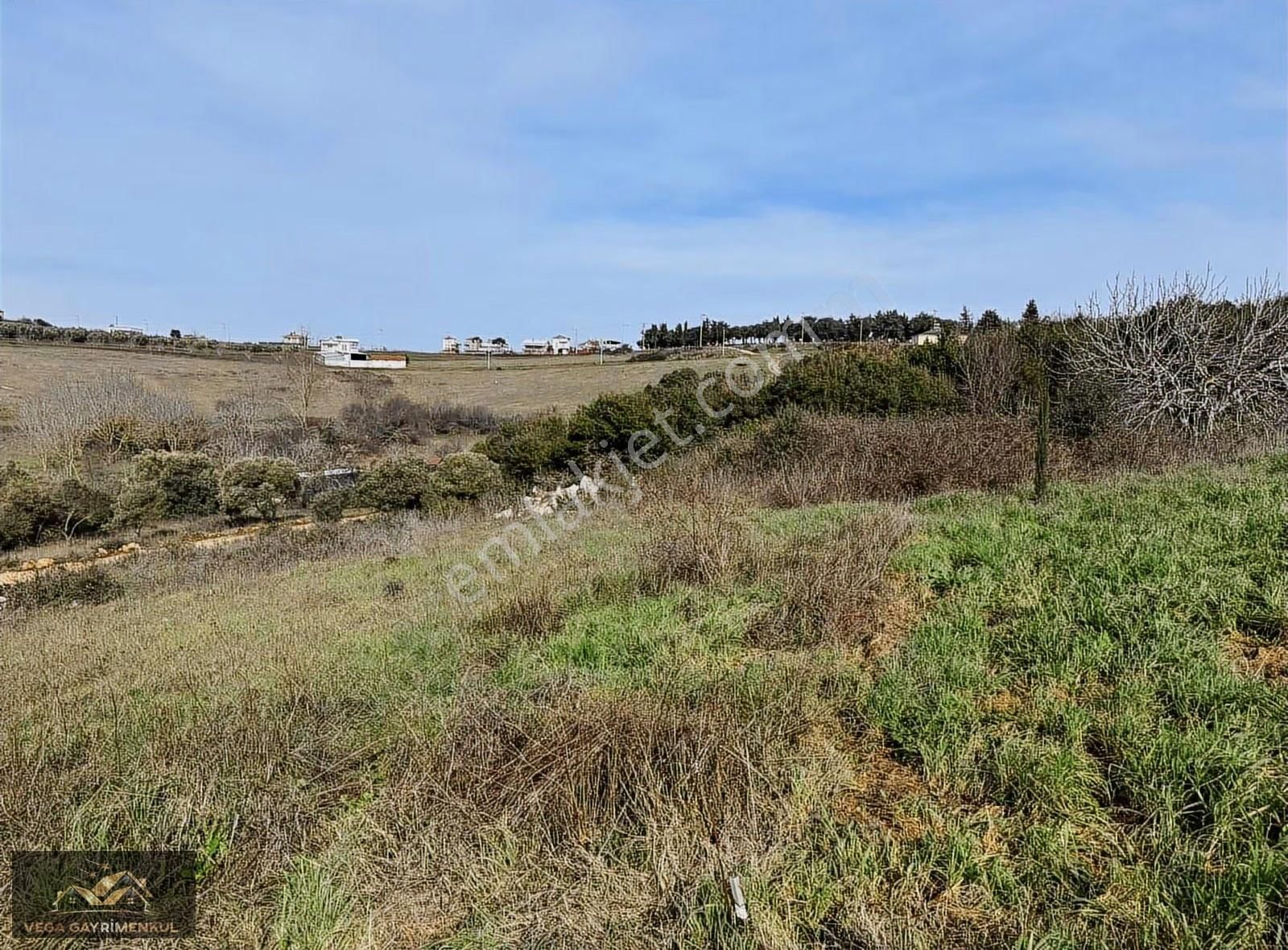 Söğütpınar'da Satılık Köyiçi İmarlı Arsa - Görsel 10