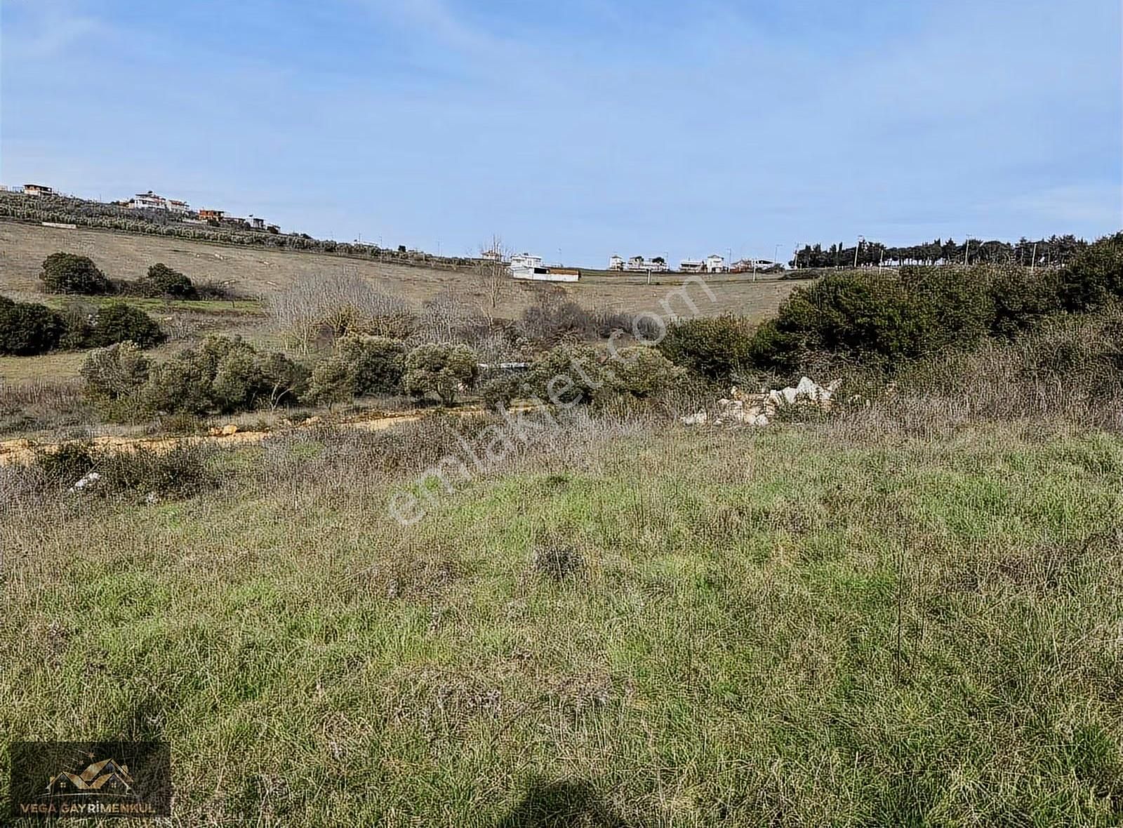 Söğütpınar'da Satılık Köyiçi İmarlı Arsa - Görsel 6