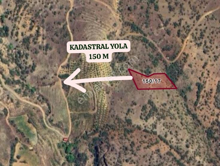 Konya Hadim Yelmez Köyünde 2.960 M² Bağ Satılıktır - Görsel 3