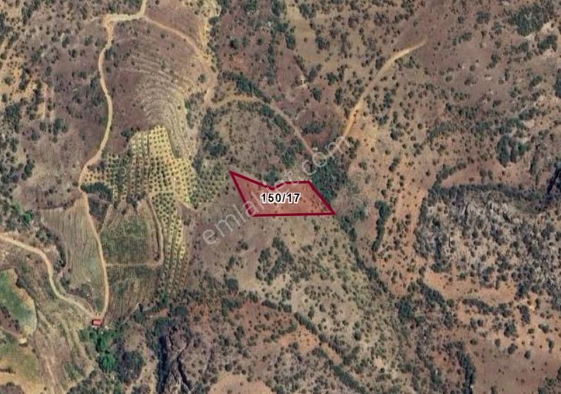 Konya Hadim Yelmez Köyünde 2.960 M² Bağ Satılıktır