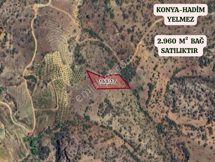 Konya Hadim Yelmez Köyünde 2.960 M² Bağ Satılıktır - Görsel 2