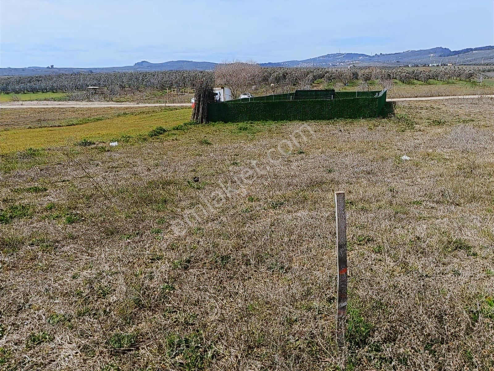 Akram'dan Ülkü Köyde Yatırımlık Arazi - Görsel 3