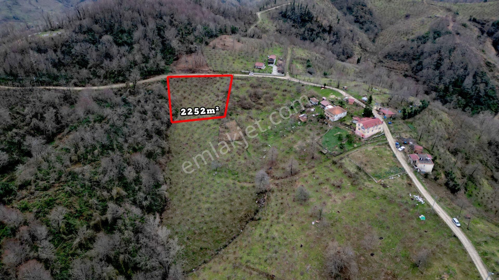 Century 21'den Perşembe'de Deniz Manzaralı Yatırım Fırsatı Bahçe - Görsel 5