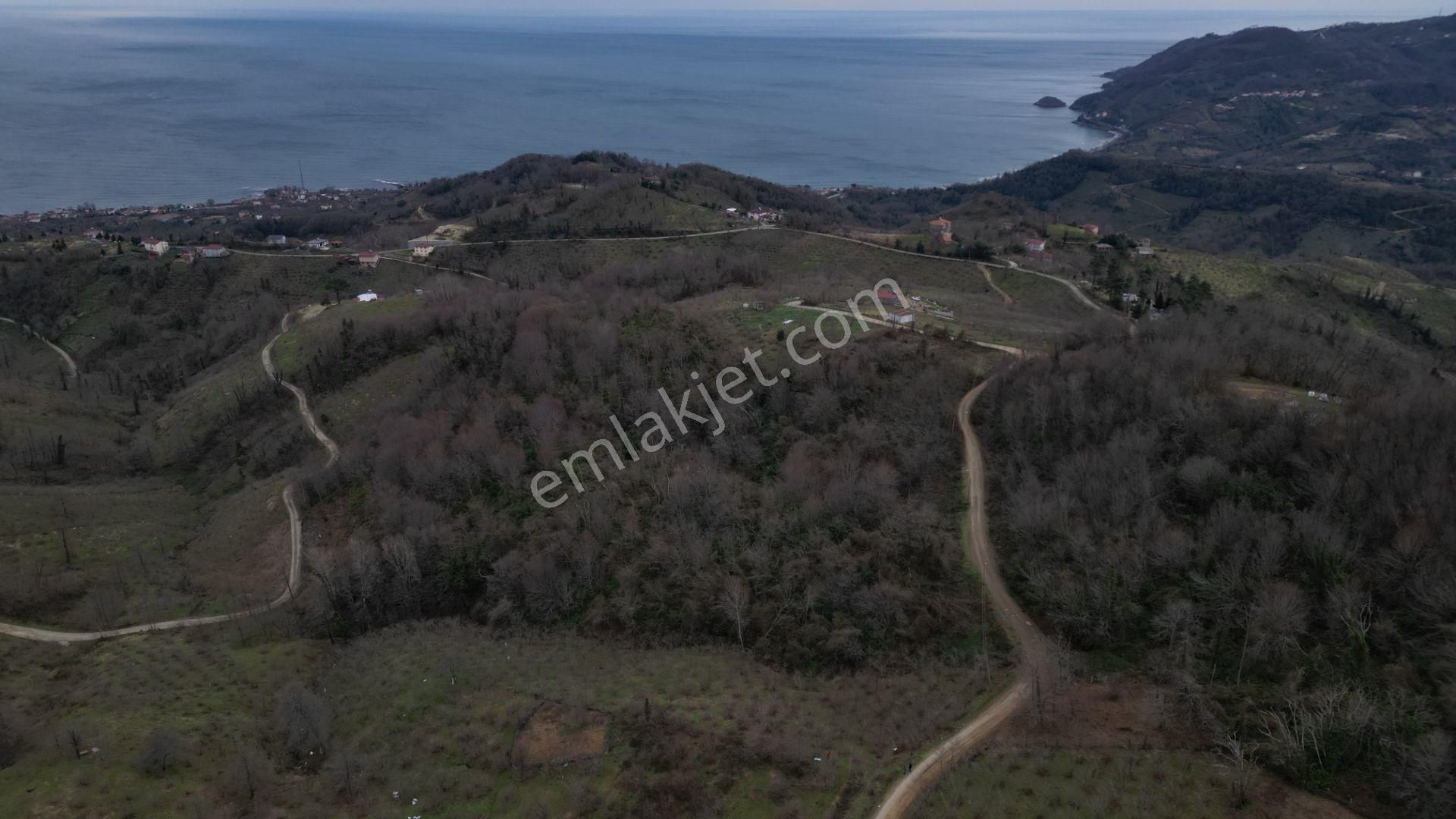 Century 21'den Perşembe'de Deniz Manzaralı Yatırım Fırsatı Bahçe - Görsel 12