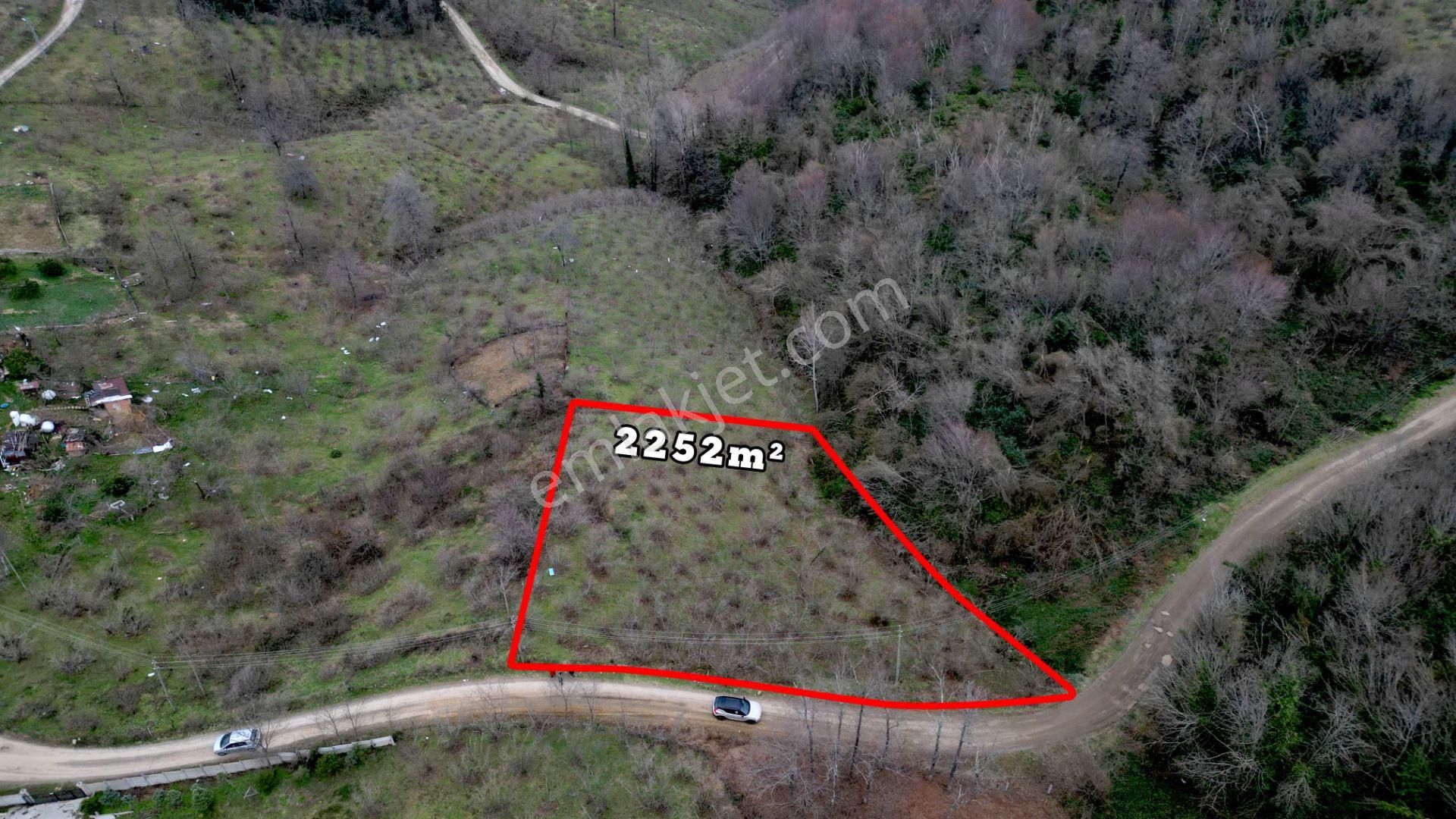 Century 21'den Perşembe'de Deniz Manzaralı Yatırım Fırsatı Bahçe - Görsel 3