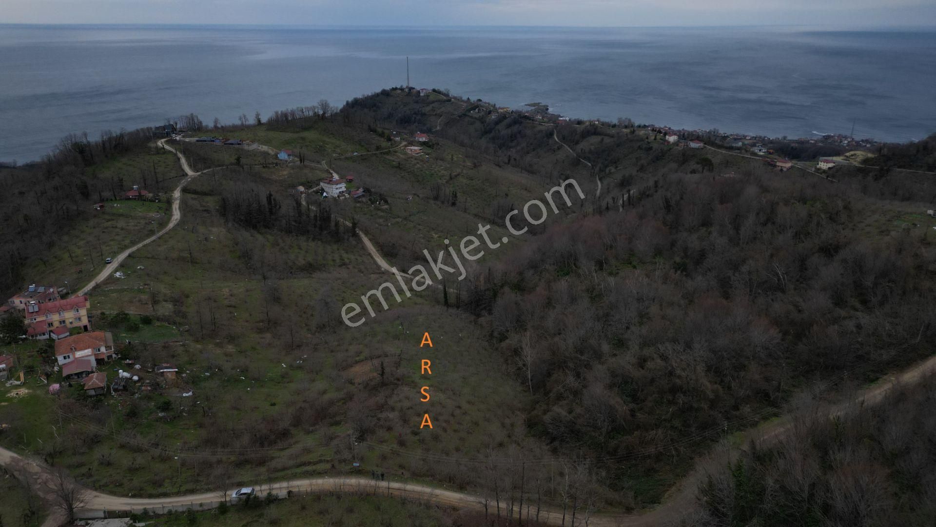 Century 21'den Perşembe'de Deniz Manzaralı Yatırım Fırsatı Bahçe - Görsel 6