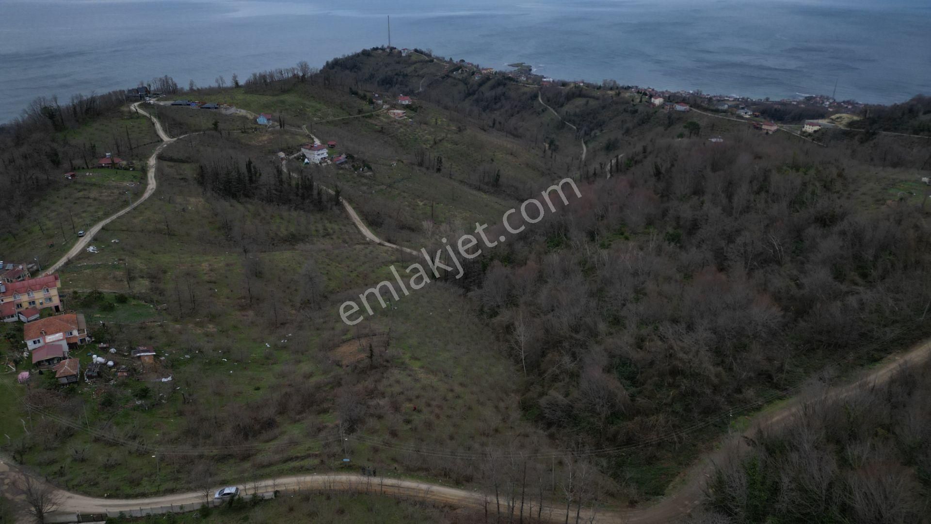 Century 21'den Perşembe'de Deniz Manzaralı Yatırım Fırsatı Bahçe - Görsel 8