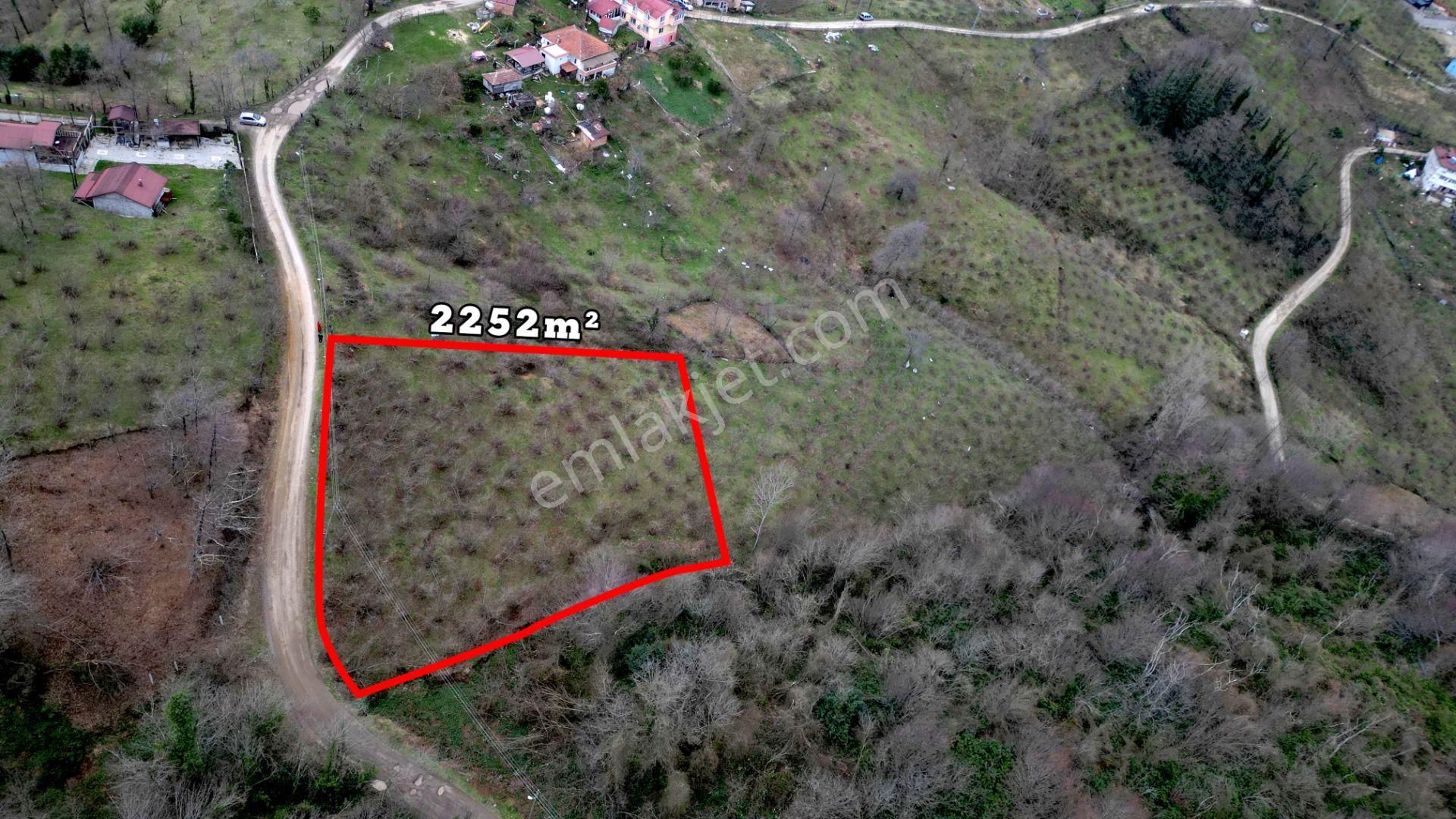 Century 21'den Perşembe'de Deniz Manzaralı Yatırım Fırsatı Bahçe - Görsel 4