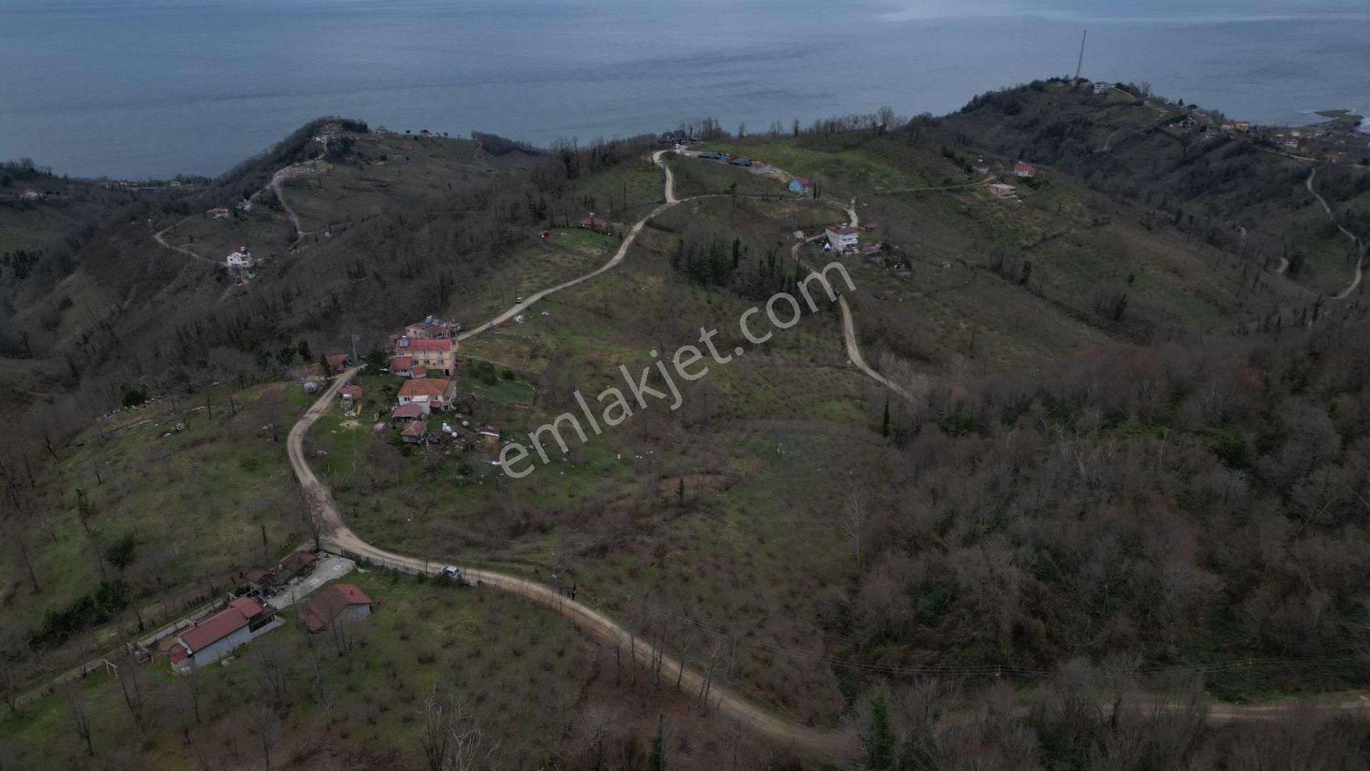 Century 21'den Perşembe'de Deniz Manzaralı Yatırım Fırsatı Bahçe - Görsel 11