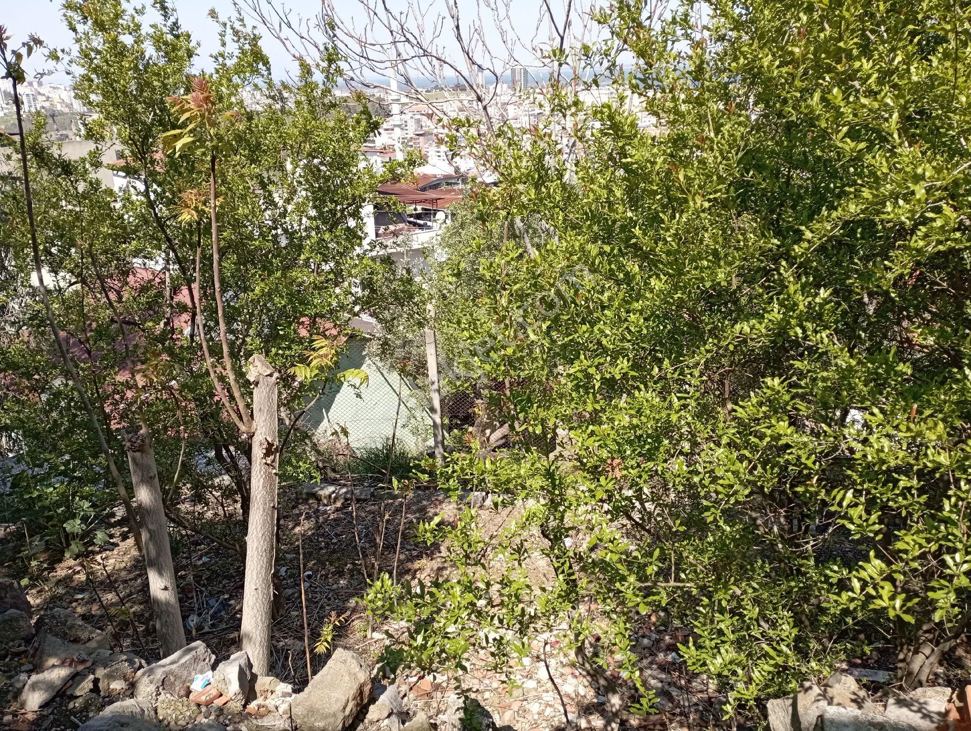 Körfez Manzaralı Daire - Görsel 9