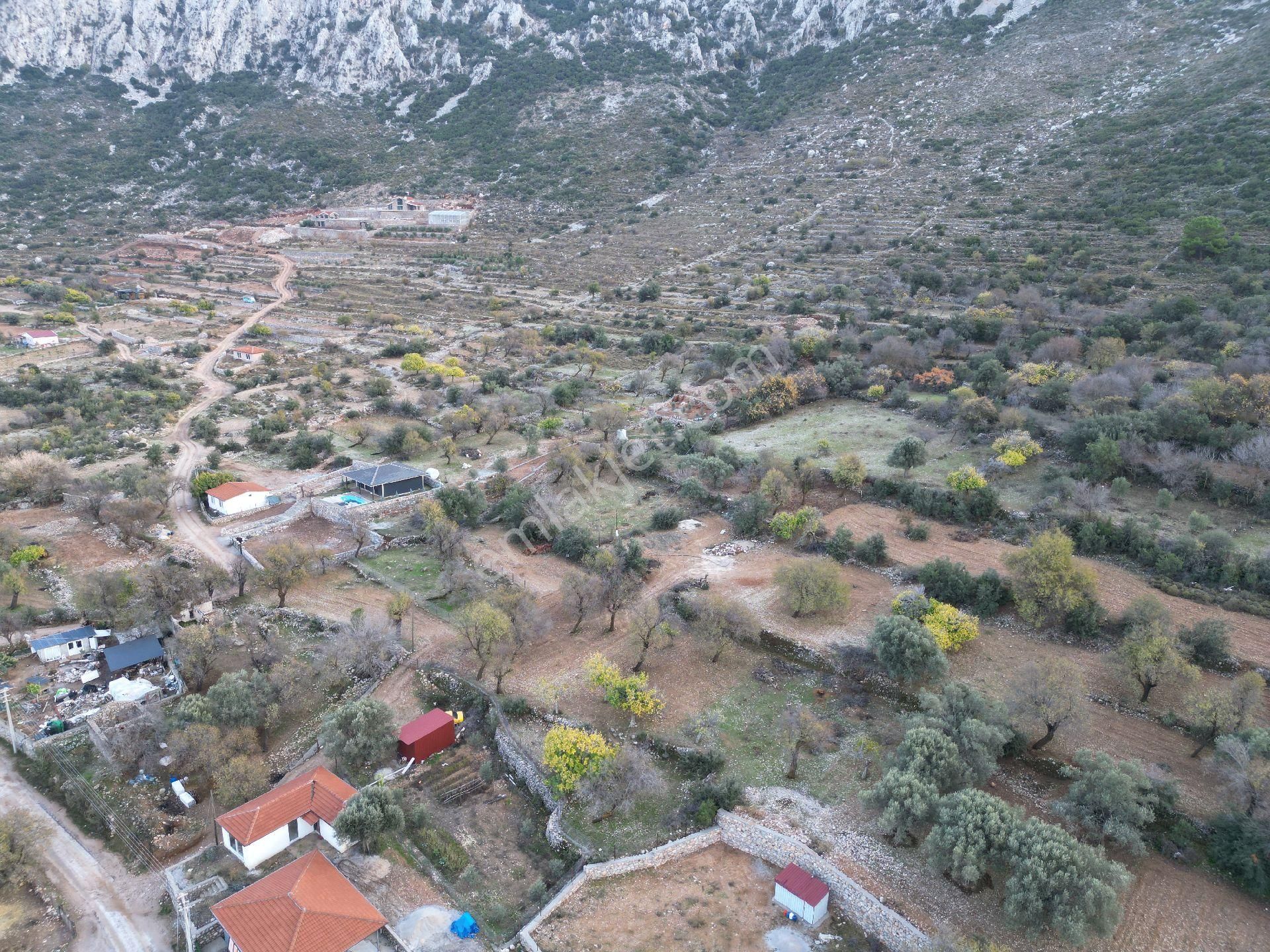 Joker: Söğüt Bahçeli Kare Şeklinde Yatırıma Uygun Satılık Tarla - Görsel 11