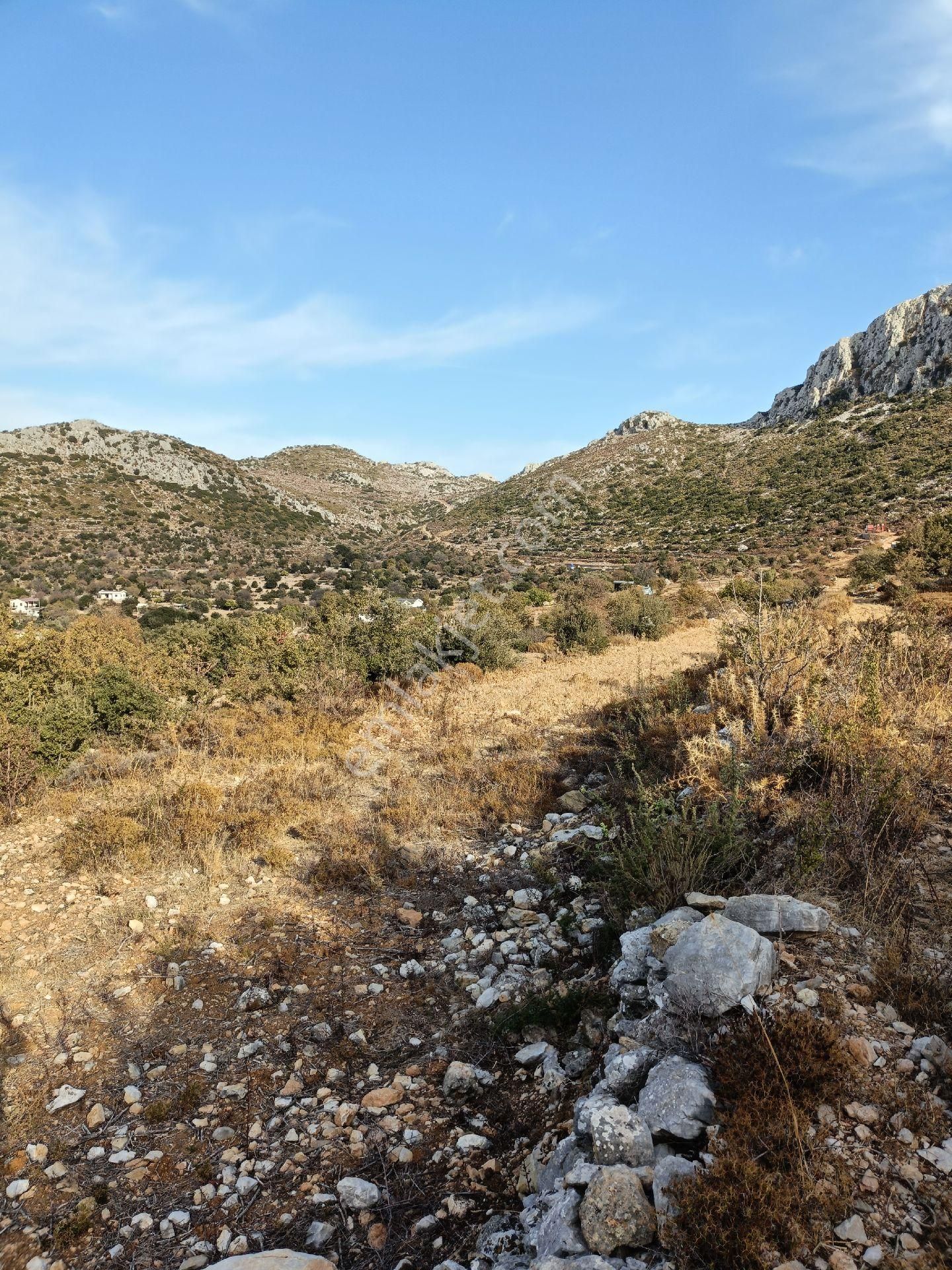 Joker: Söğüt Bahçeli Kare Şeklinde Yatırıma Uygun Satılık Tarla - Görsel 5