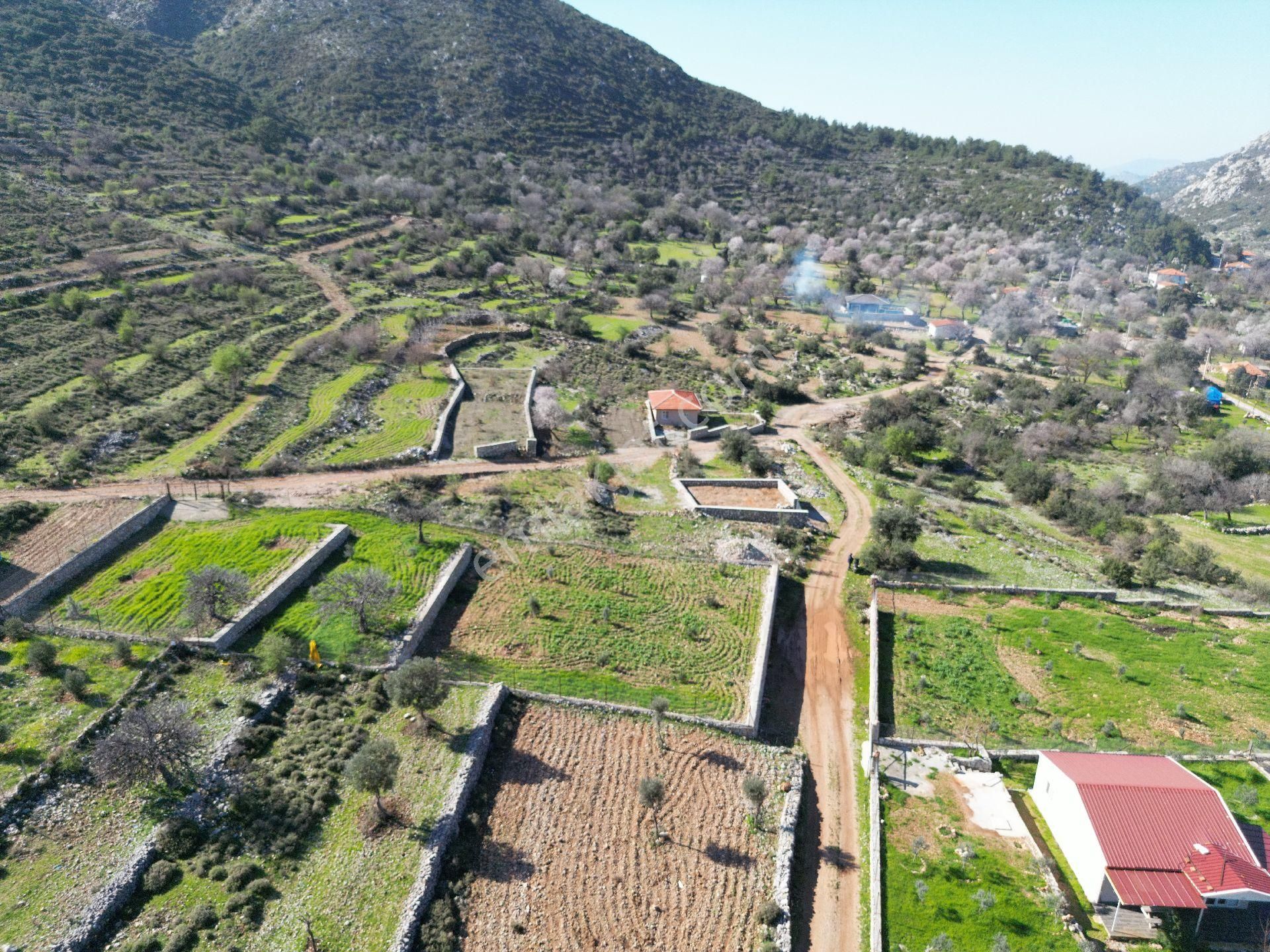 Joker: Söğüt Bahçeli Kare Şeklinde Yatırıma Uygun Satılık Tarla - Görsel 7