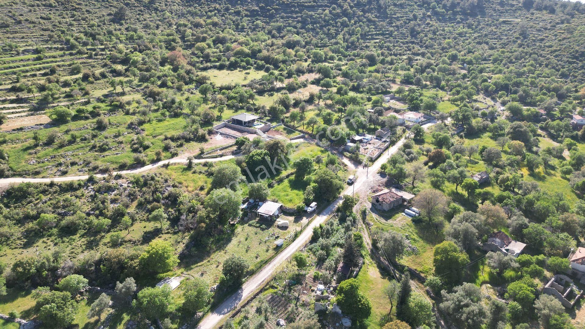 Joker: Söğüt Bahçeli Kare Şeklinde Yatırıma Uygun Satılık Tarla - Görsel 3