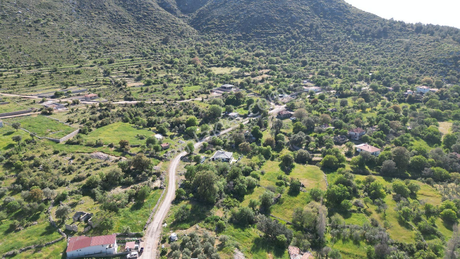 Joker: Söğüt Bahçeli Kare Şeklinde Yatırıma Uygun Satılık Tarla - Görsel 6