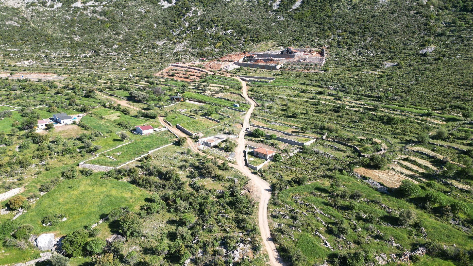 Joker: Söğüt Bahçeli Kare Şeklinde Yatırıma Uygun Satılık Tarla - Görsel 10