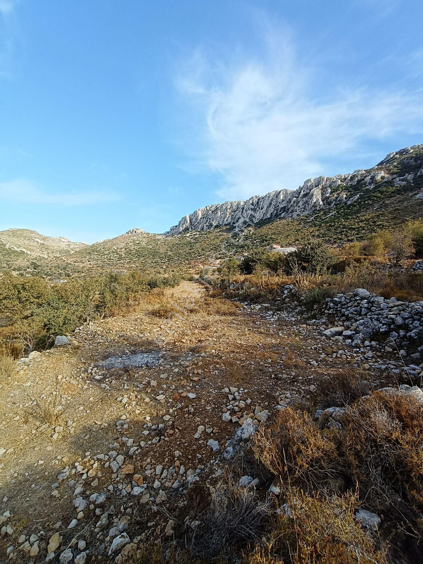 Joker: Söğüt Bahçeli Kare Şeklinde Yatırıma Uygun Satılık Tarla - Görsel 8