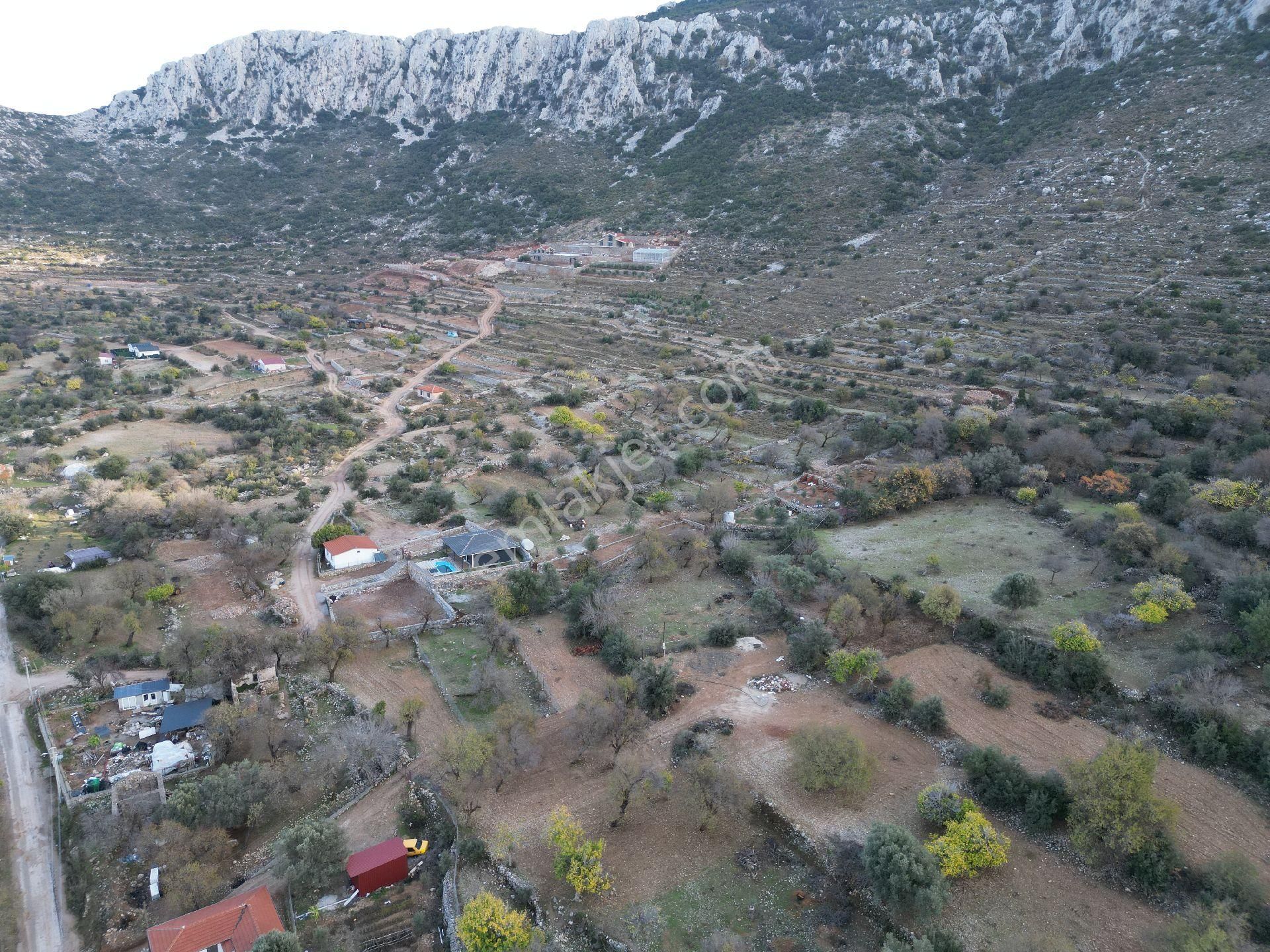 Joker: Söğüt Bahçeli Kare Şeklinde Yatırıma Uygun Satılık Tarla - Görsel 9