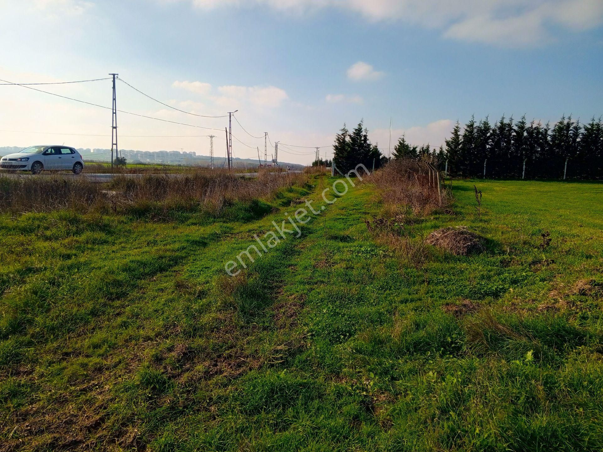 Silivri Büyükçavuşluda Ana Asfalt Yola Cepheli 10400 M² Arazi - Görsel 8