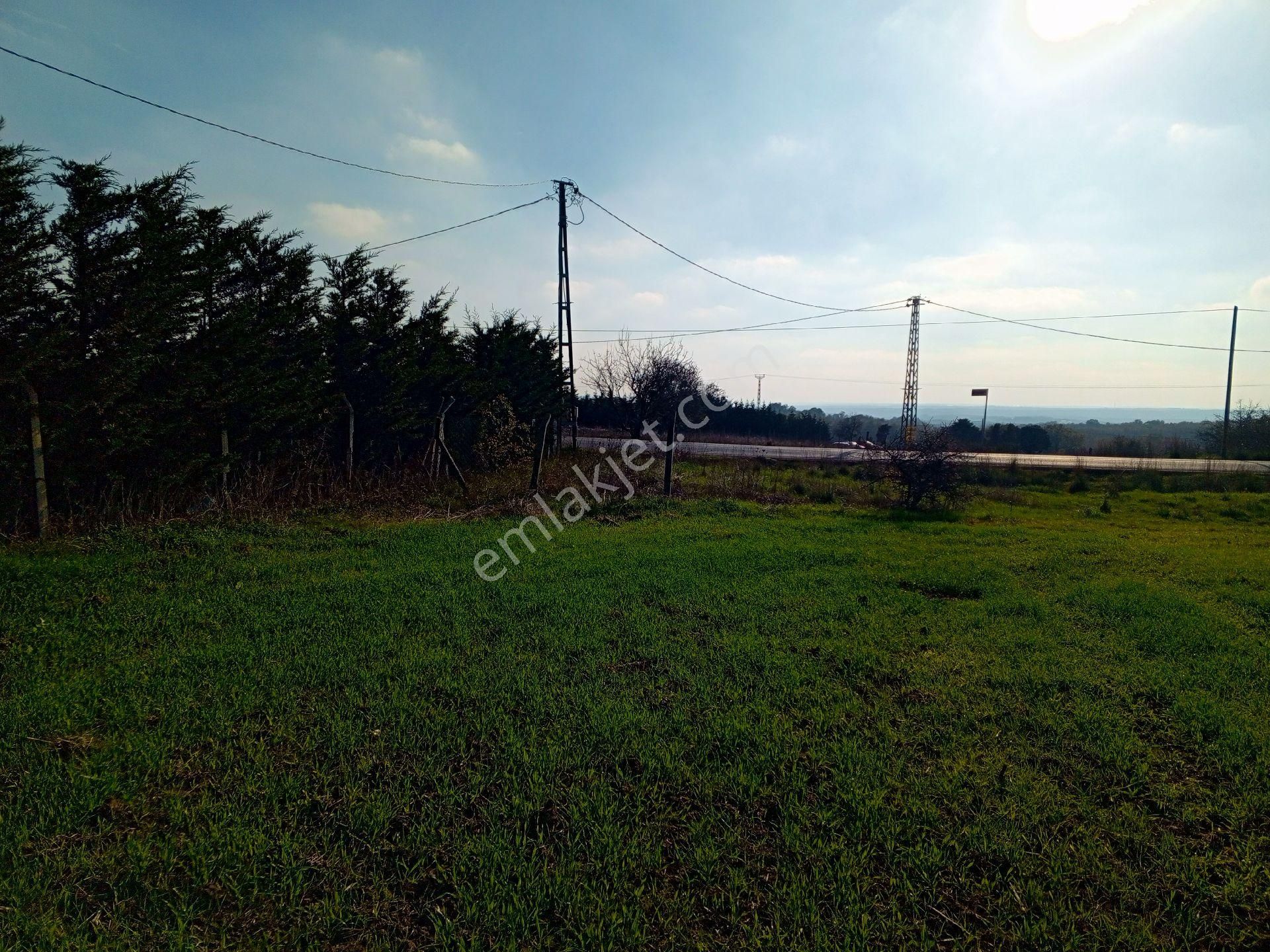 Silivri Büyükçavuşluda Ana Asfalt Yola Cepheli 10400 M² Arazi - Görsel 7