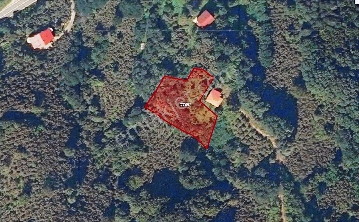 Sakin Şehir Perşembe Hoynatta Manzaralı 1572 M2 Bahçe. - Görsel 24