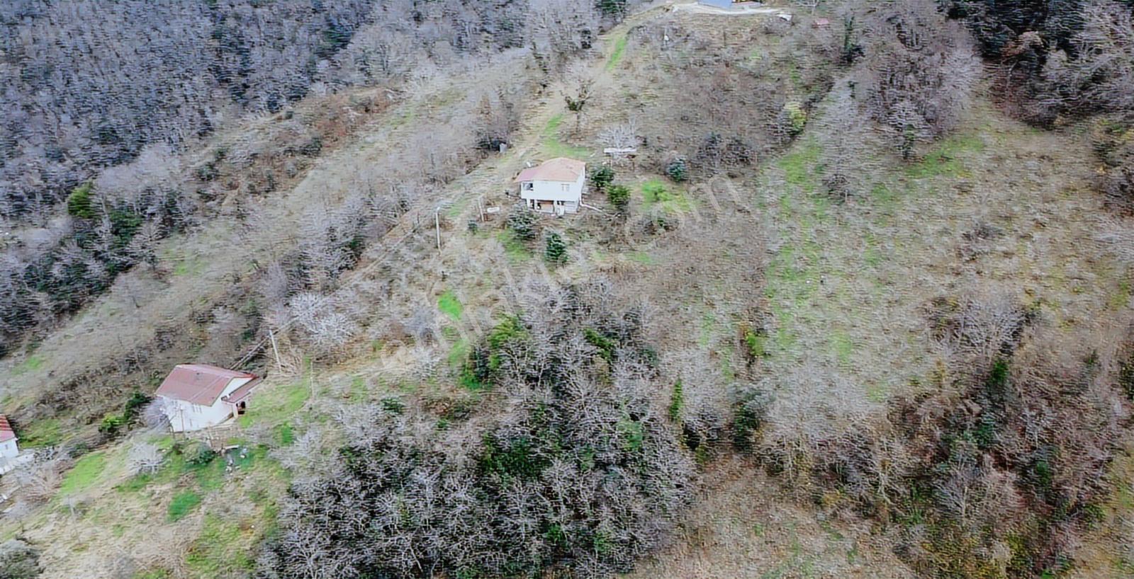 Sakin Şehir Perşembe Hoynatta Manzaralı 1572 M2 Bahçe. - Görsel 17