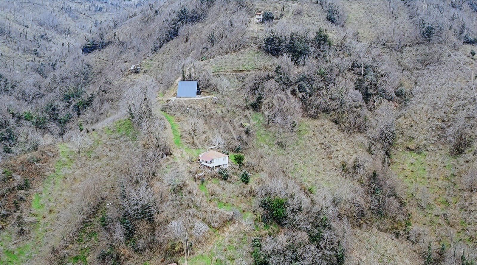 Sakin Şehir Perşembe Hoynatta Manzaralı 1572 M2 Bahçe. - Görsel 23