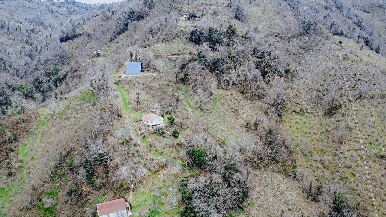 Sakin Şehir Perşembe Hoynatta Manzaralı 1572 M2 Bahçe. - Görsel 5