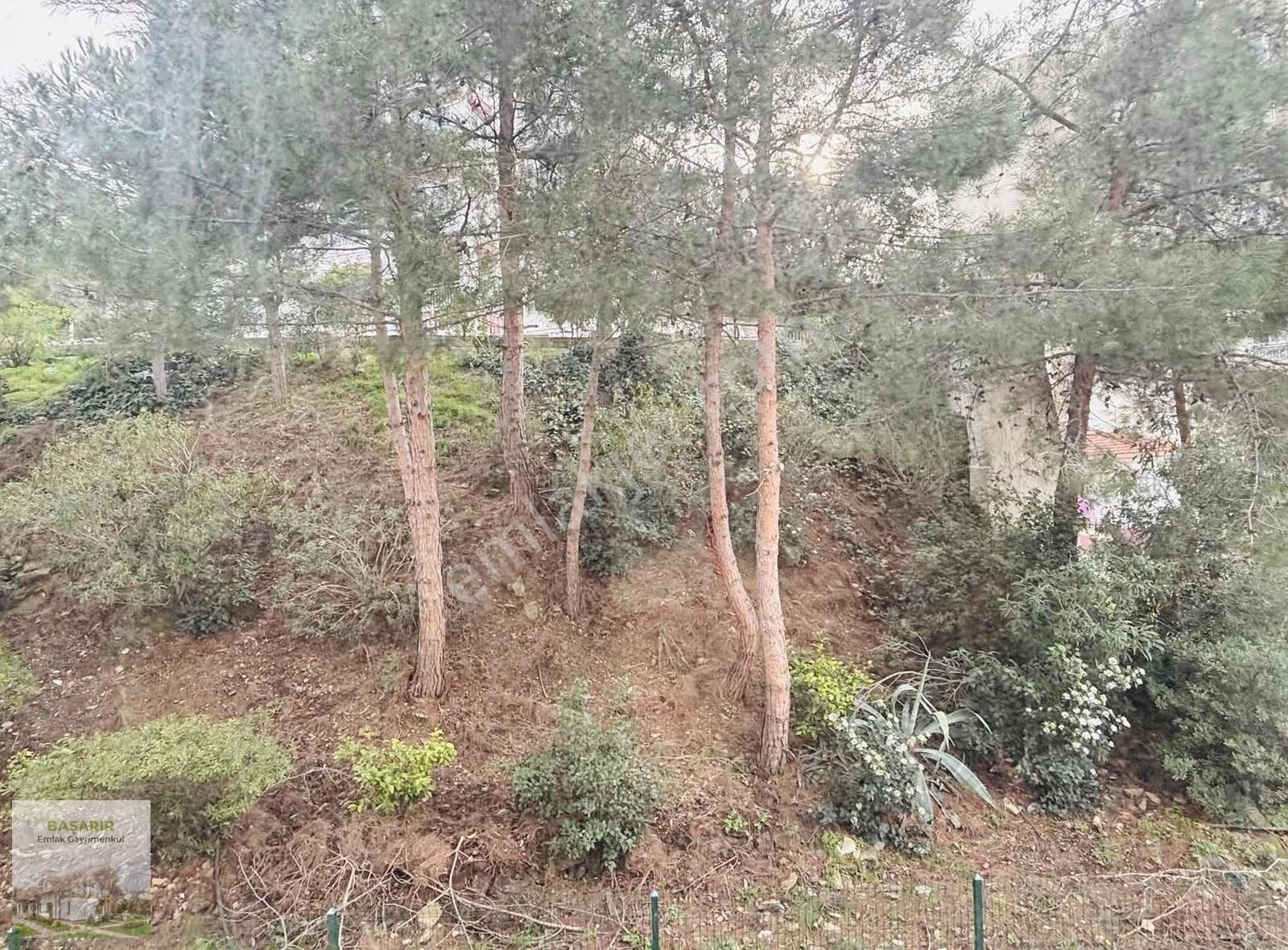 Narlıdere Arı Sitesinde Deniz Manzaralı 3+1asansörlü Otoparklı.. - Görsel 28