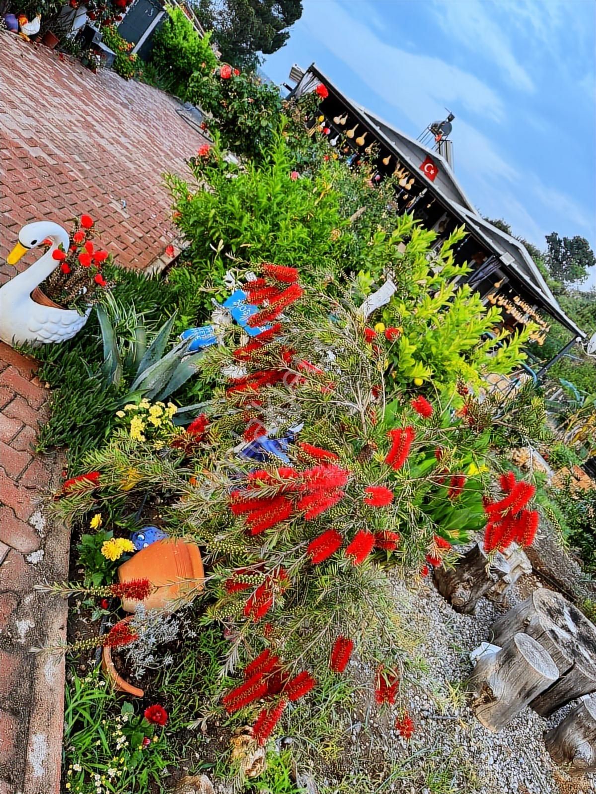 Konyaaltı Aşağı Karaman Mah. Kurulu Düzen Bahçe - Görsel 16