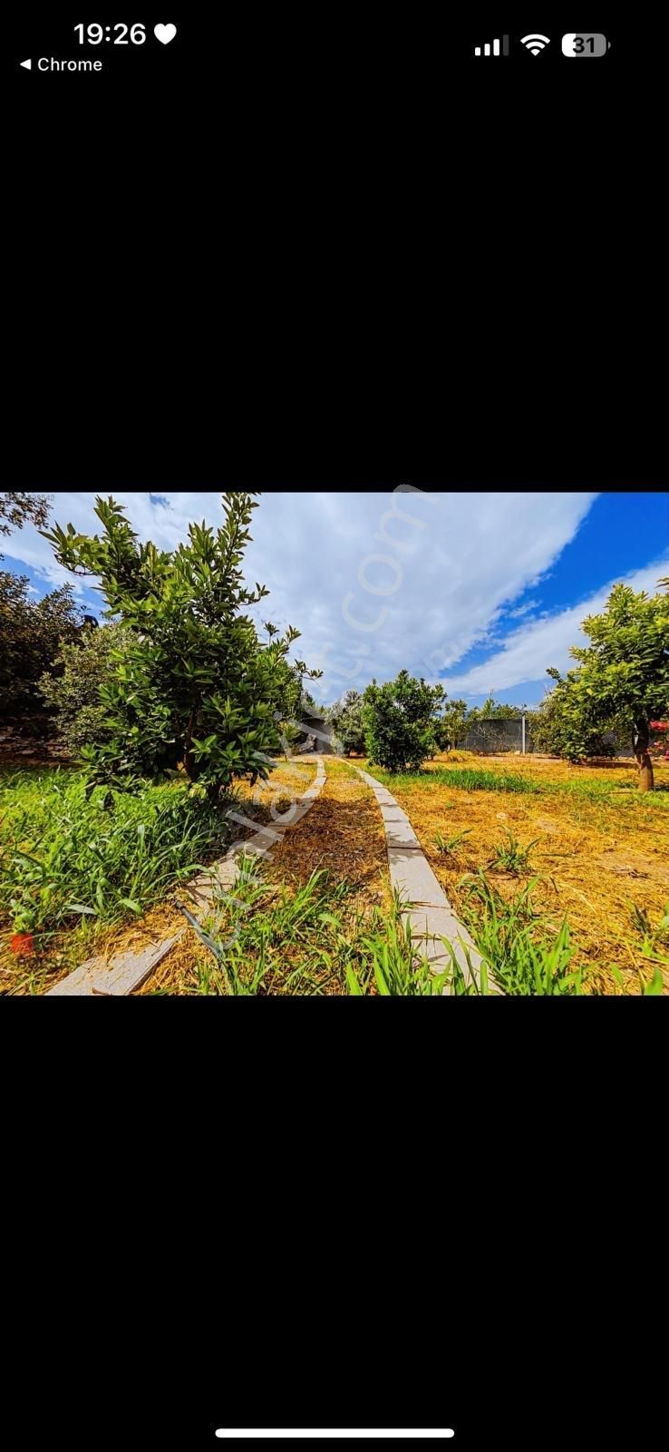 Konyaaltı Aşağı Karaman Mah. Kurulu Düzen Bahçe - Görsel 18