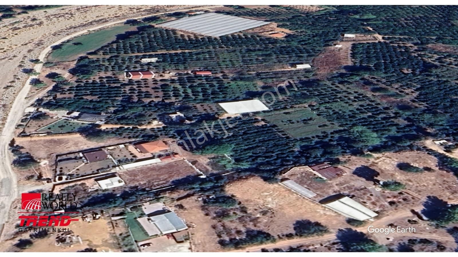 Konyaaltı Aşağı Karaman Mah. Kurulu Düzen Bahçe - Görsel 31