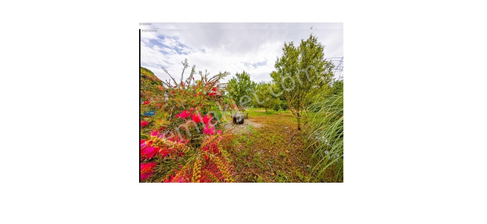 Konyaaltı Aşağı Karaman Mah. Kurulu Düzen Bahçe - Görsel 27