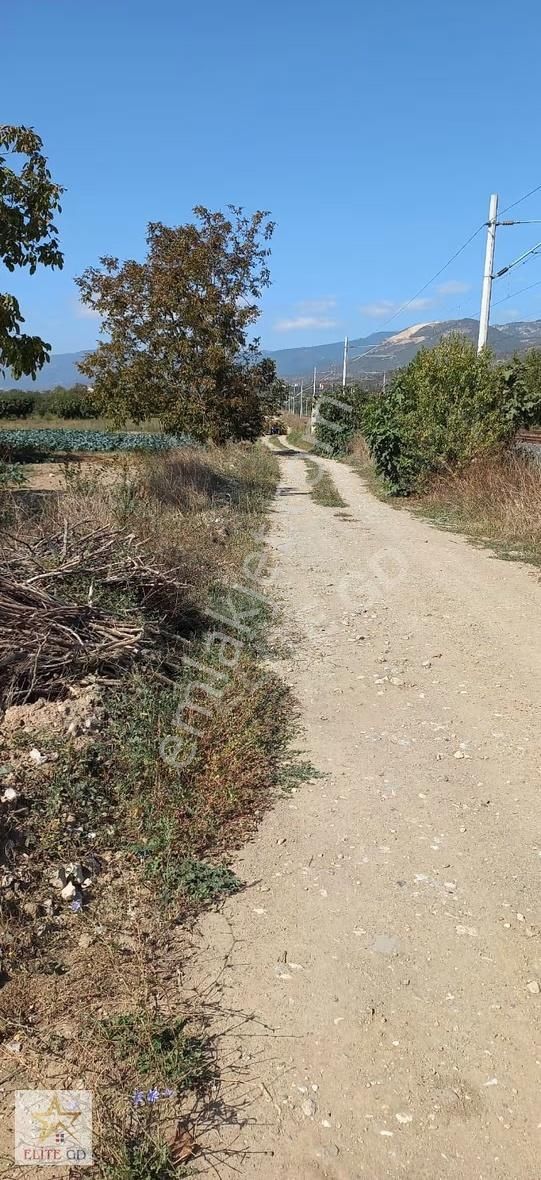 Pamukova Turgutluda Yatırımlık Ana Yola Yakın Fırsat Arazi - Görsel 12