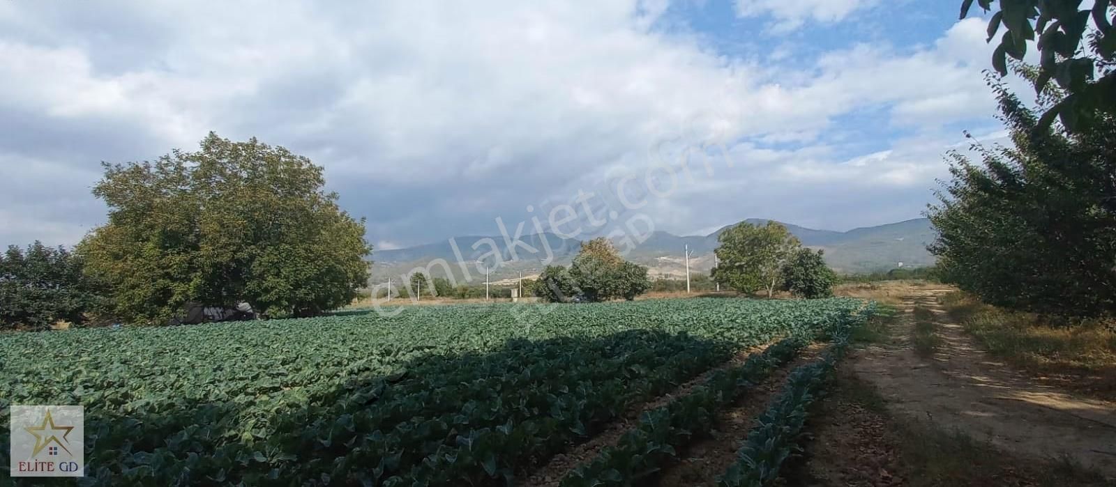 Pamukova Turgutluda Yatırımlık Ana Yola Yakın Fırsat Arazi - Görsel 2