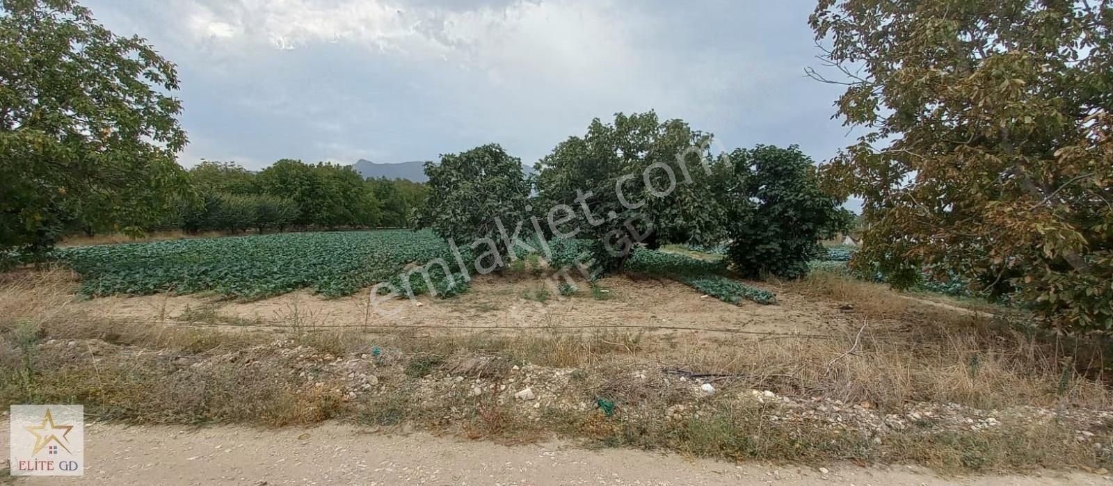 Pamukova Turgutluda Yatırımlık Ana Yola Yakın Fırsat Arazi - Görsel 18